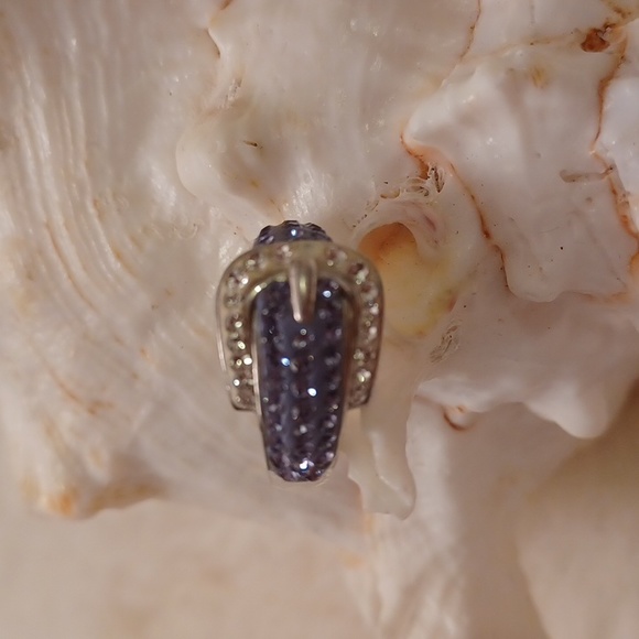 Buckle ring. - Picture 5 of 6